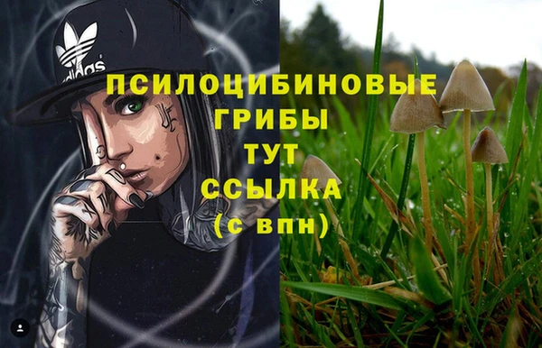 каннабис Магас