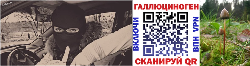 Галлюциногенные грибы прущие грибы  Купить  Иннополис 
