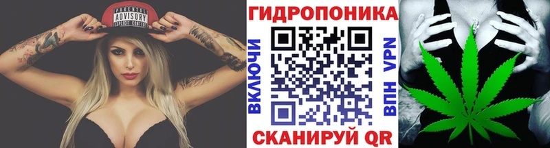 Каннабис White Widow  Купить  Иннополис 